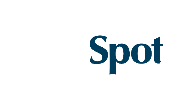 Blind Spot Logo - White