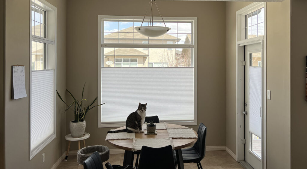 Dining Nook with Top-Down Bottom-Up Shades and Cat on Table