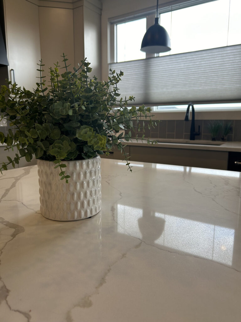 Kitchen Counter with Plant and Cellular Shade Over Sink