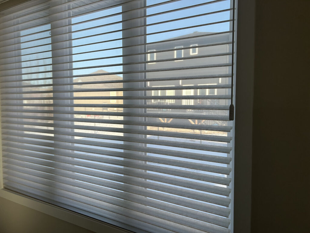 Motorized Horizontal Sheer Shade Filtering Daylight