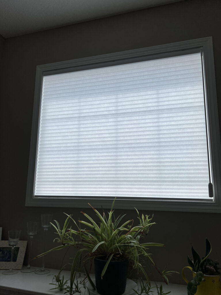 Motorized Translucent Cellular Shade Above Indoor Plants