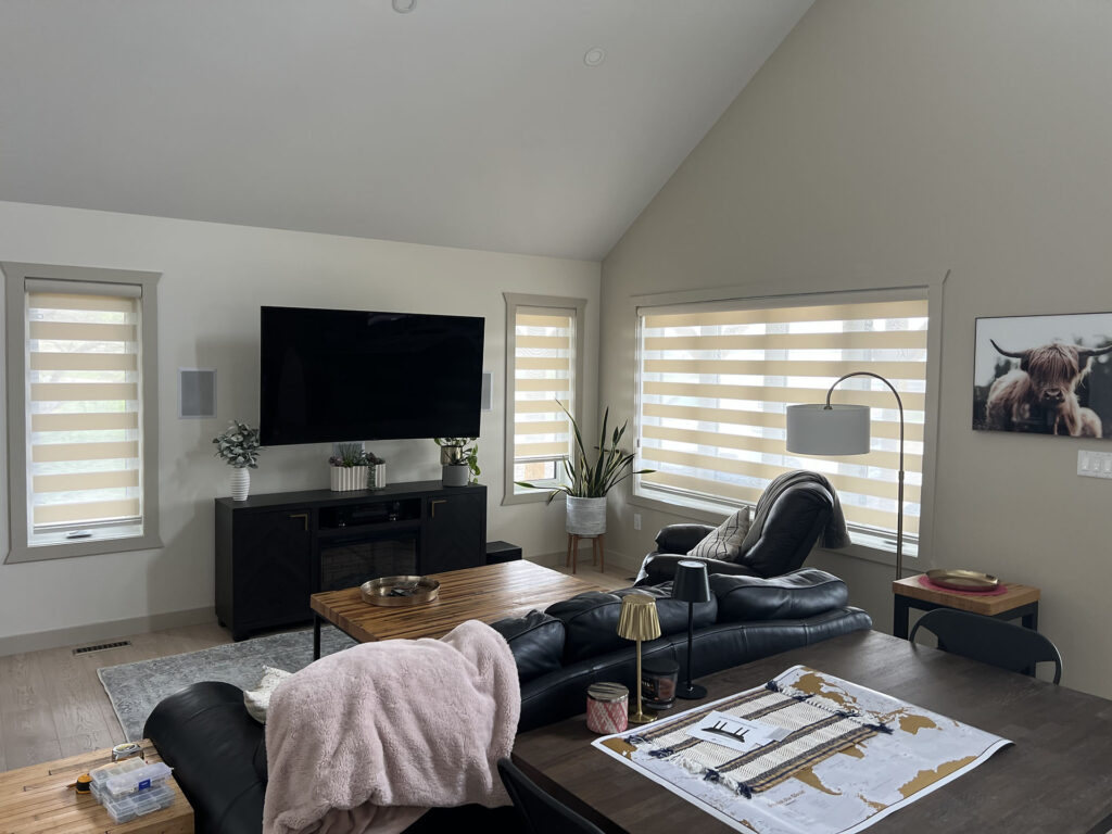 Open Living Room with Zebra Shades and TV Entertainment Center